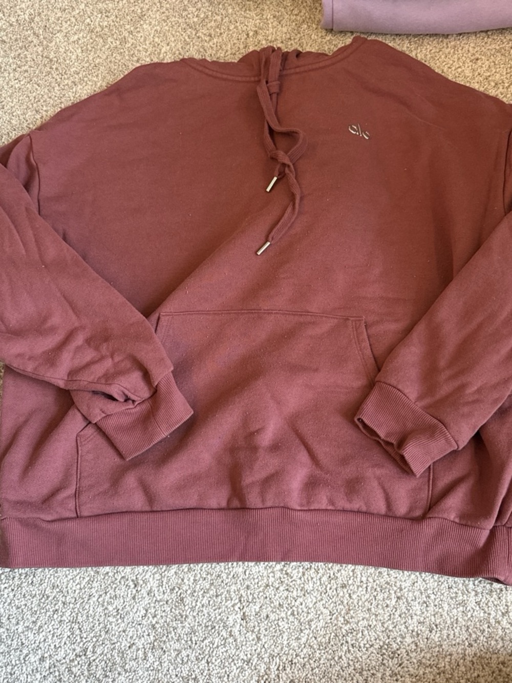 Alo Hoodie